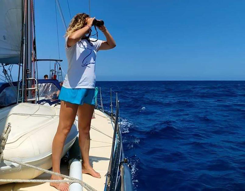 Renexia e Jonian Dolphin Conservation insieme per la tutela dei cetacei