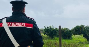 Taranto: Nucleo Investigativo del Comando Provinciale di Taranto esegue misura di prevenzione patrimoniale