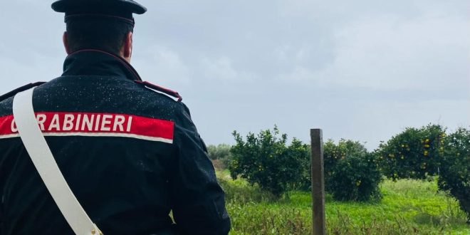 Taranto: Nucleo Investigativo del Comando Provinciale di Taranto esegue misura di prevenzione patrimoniale