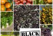 Agrumi, Cia Puglia: «Tanta qualità nel 2022, altro che black friday»