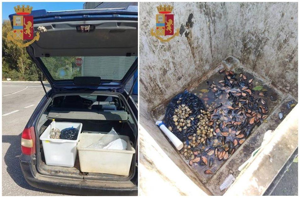 Taranto, 20 kg di mitili sequestrati ed un denunciato
