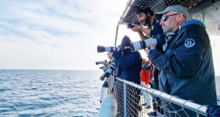 Con le “Pelagic Trip” della Jonian Dolphin Conservation torna il Birdwatching nel Golfo di Taranto