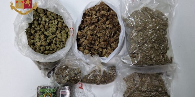 Manduria, coltivava piante di marijuana nella propria abitazione: arrestato trentenne manduriano
