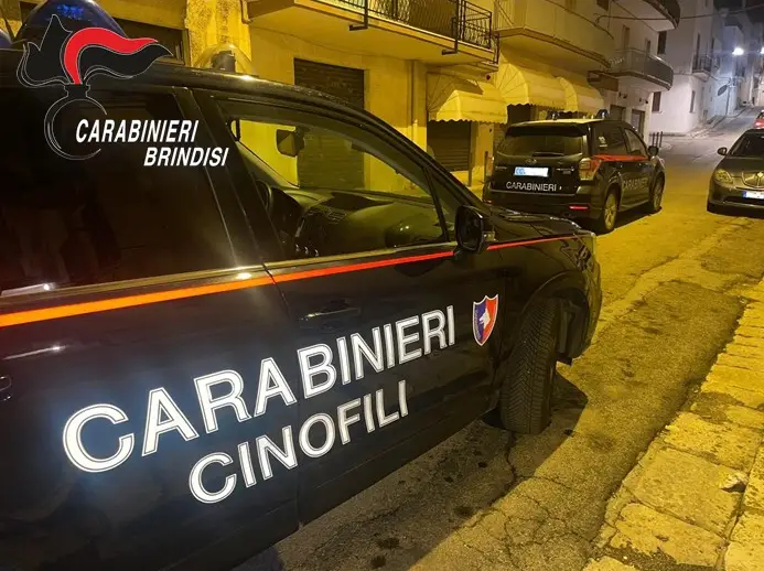 Carabinieri Brindisi Cinofili Carabinieri Brindisi Cinofili