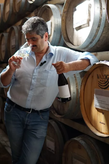 Teodosio D Apolito enologo delle Cantine Pliniana Teodosio D Apolito enologo delle Cantine Pliniana